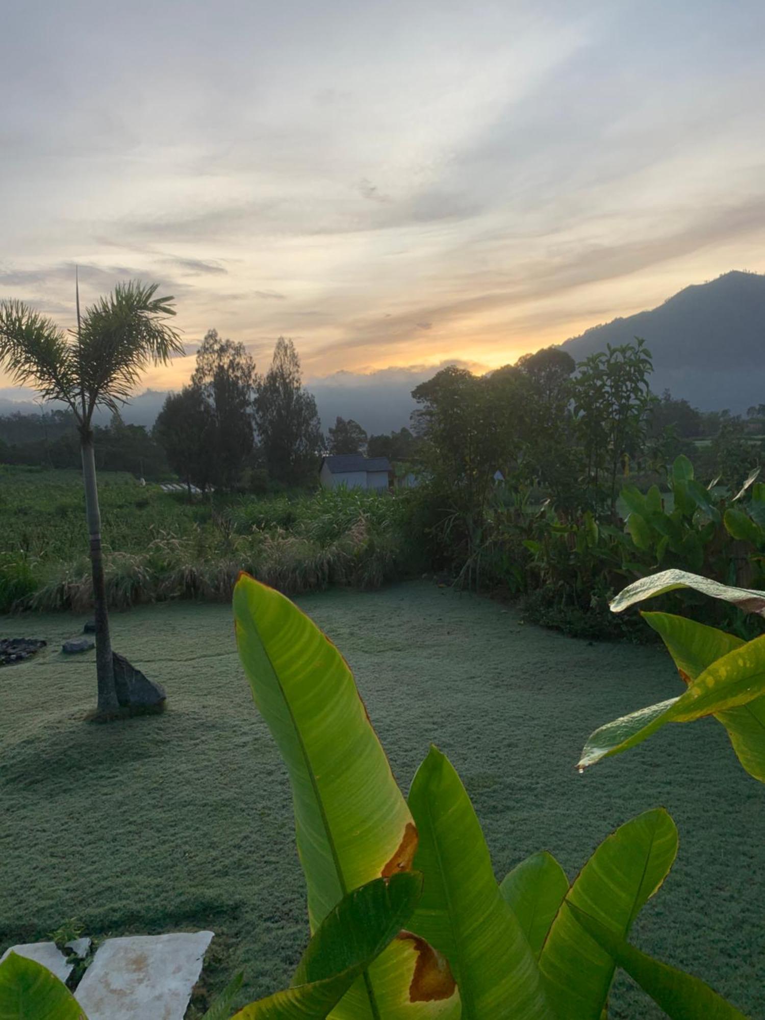 Bali Lesung Hotell Kintamani Eksteriør bilde